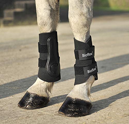 Las 7 mejores botas magnéticas para caballos