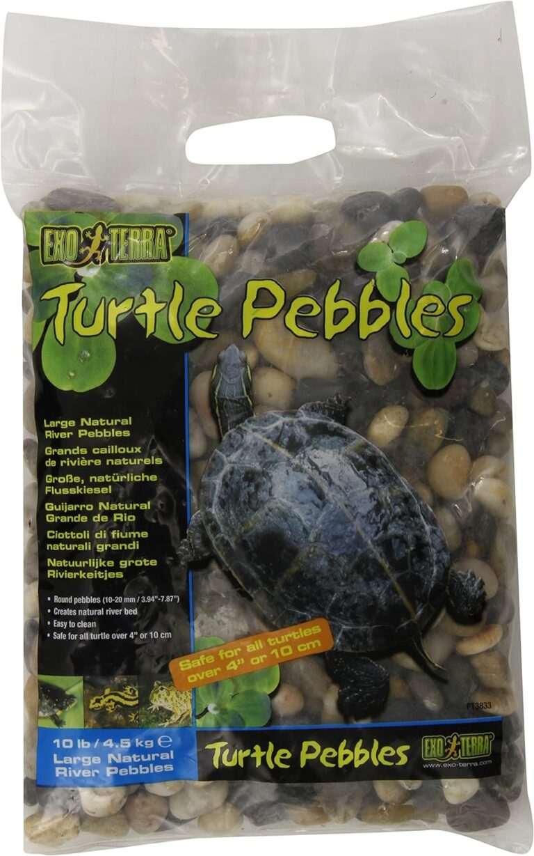 11 juguetes populares para tortugas mascota